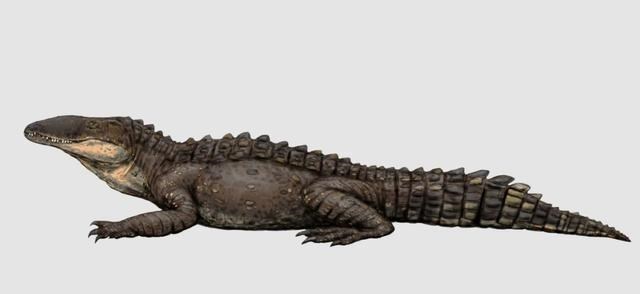  鳄鱼家族有多倒霉？努力了两亿年，每次在马上称霸时被地球针对