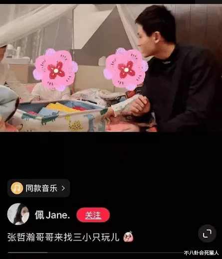 张哲瀚|张哲瀚否认隐婚生子！状告《山河令》cp粉，发7点声明强烈维权