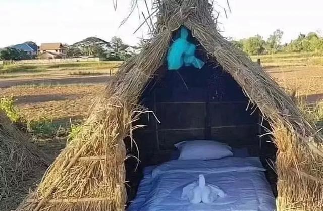 清浅微笑的我|水灾后的村庄已经恢复了往日的宁静，而水淹的痕迹还是清晰可见