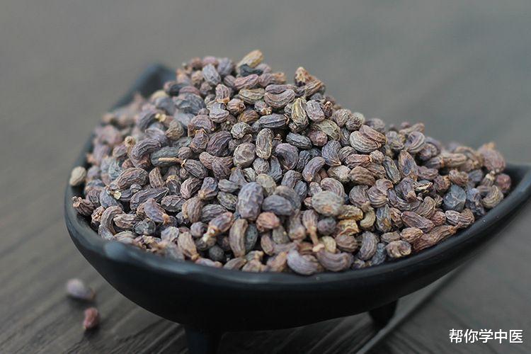 脱发|张仲景的“引魂汤”!化解心慌、气短、眠差、心不在焉,请你品鉴