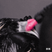 脱发|要是早知道这几招,最起码少掉几万根头发,心痛…