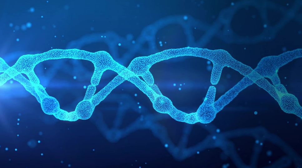 基因 一夫一妻使自然选择失效，导致人类进化停止？其实人类在加速进化