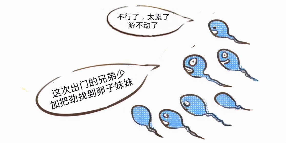 臀部|睡眠與性功能之間的“不可名狀” ......