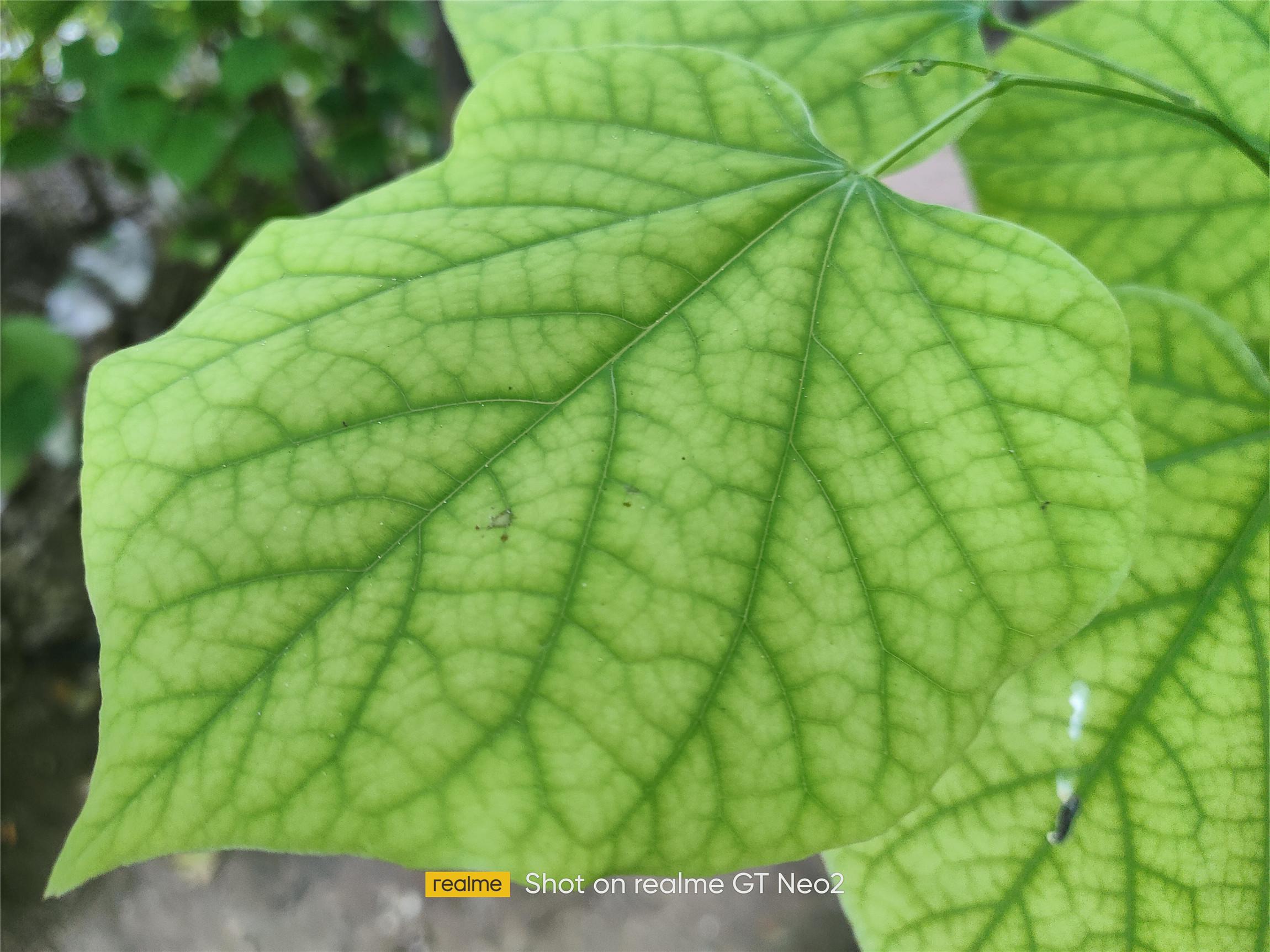 少年三国志|游戏稳准狠,年轻敢越级,真我GT Neo2评测