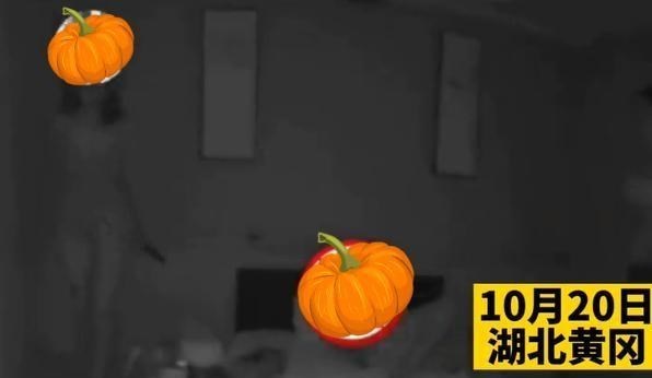 徐丰溪|真会玩：湖北男家长趁接娃放学，竟然抽空点两个“失足女”玩玩