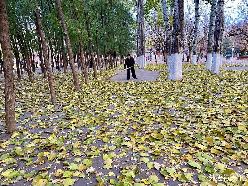 大学生|英语习语：不可分级形容词 dead 中的“死肉”你知道吗？