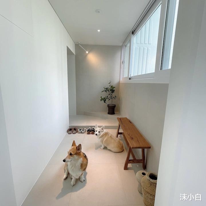 在阳台上砌花池种树,若我家能有这一半有意思,宅一周都不嫌闷!