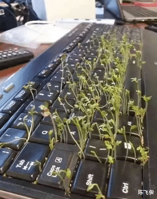 陈飞俊|谁能猜出这道成语，实在太难了