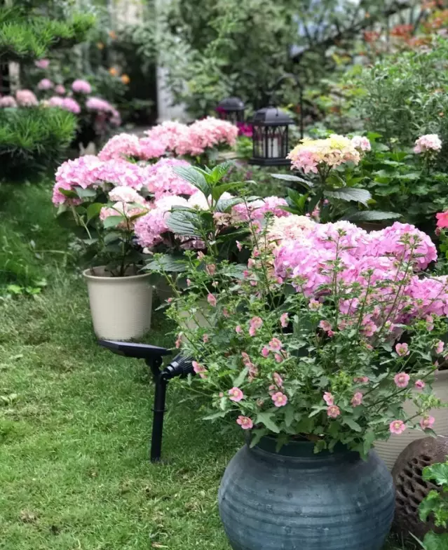 宁波|150㎡私家别墅庭院，打造花开满园的自然舒适小花园，太美了