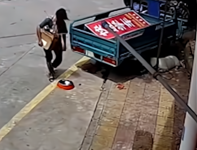 四叶草海之恋|太损了！广东大妈见路边地上有个狗碗，当着狗子面直接拿走