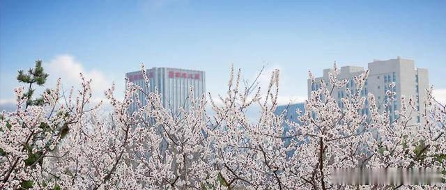 陕西都市快报 绿色“福袋”已开启！在西咸新区能源金贸区 目之所及皆为美