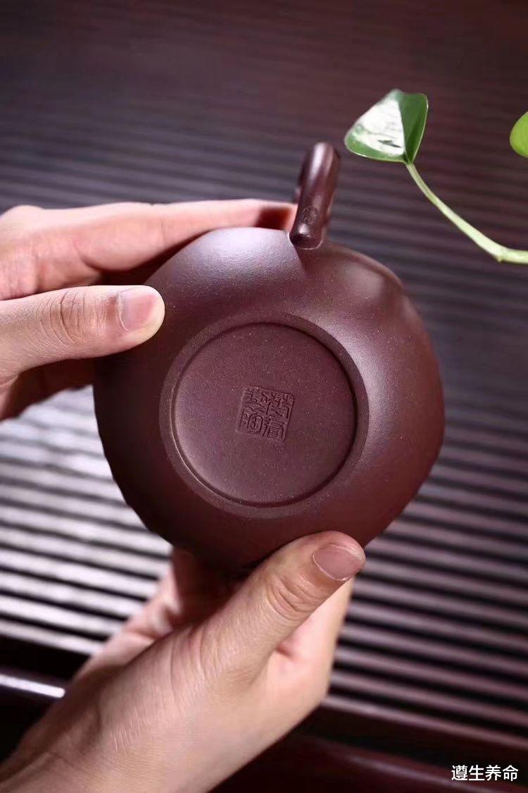 遵生养命|盛夏消暑——赏析紫砂壶之韵