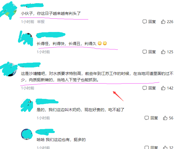 上海市|上海一男子钓上“怪鱼”,看着像“虎头鲨”,网友:有“判头”了