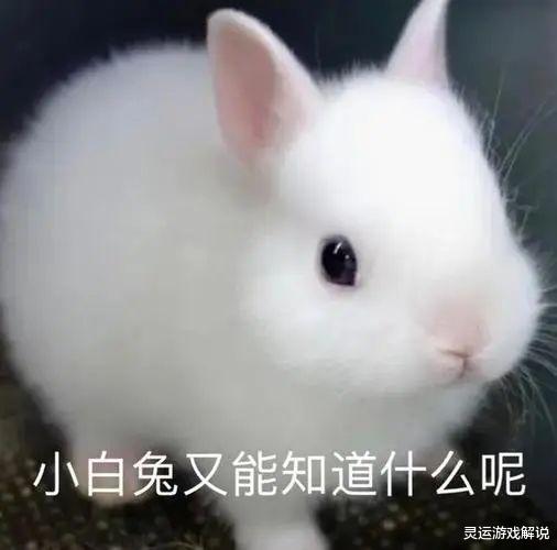 羊祜|不会真的有人不能一秒满装备吧？张济羡慕的留下了眼泪！