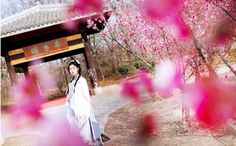 烈山文化旅游体育局 梅开正当时,南湖暗香来!