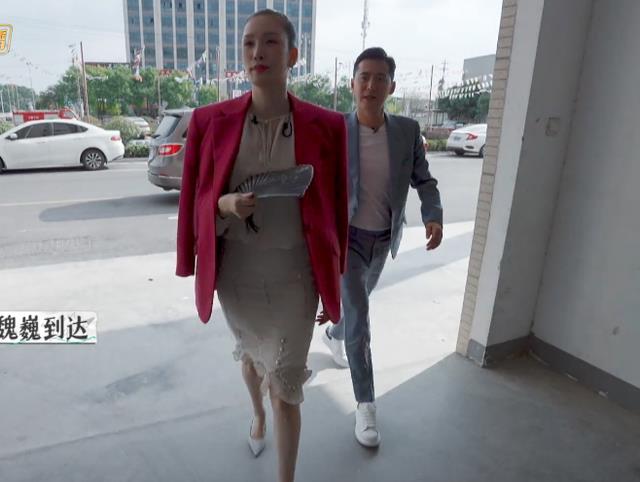 一只麦兜 《再见爱人》魏巍戒酒后，佟晨洁否认备孕，结婚7年依然不打算生