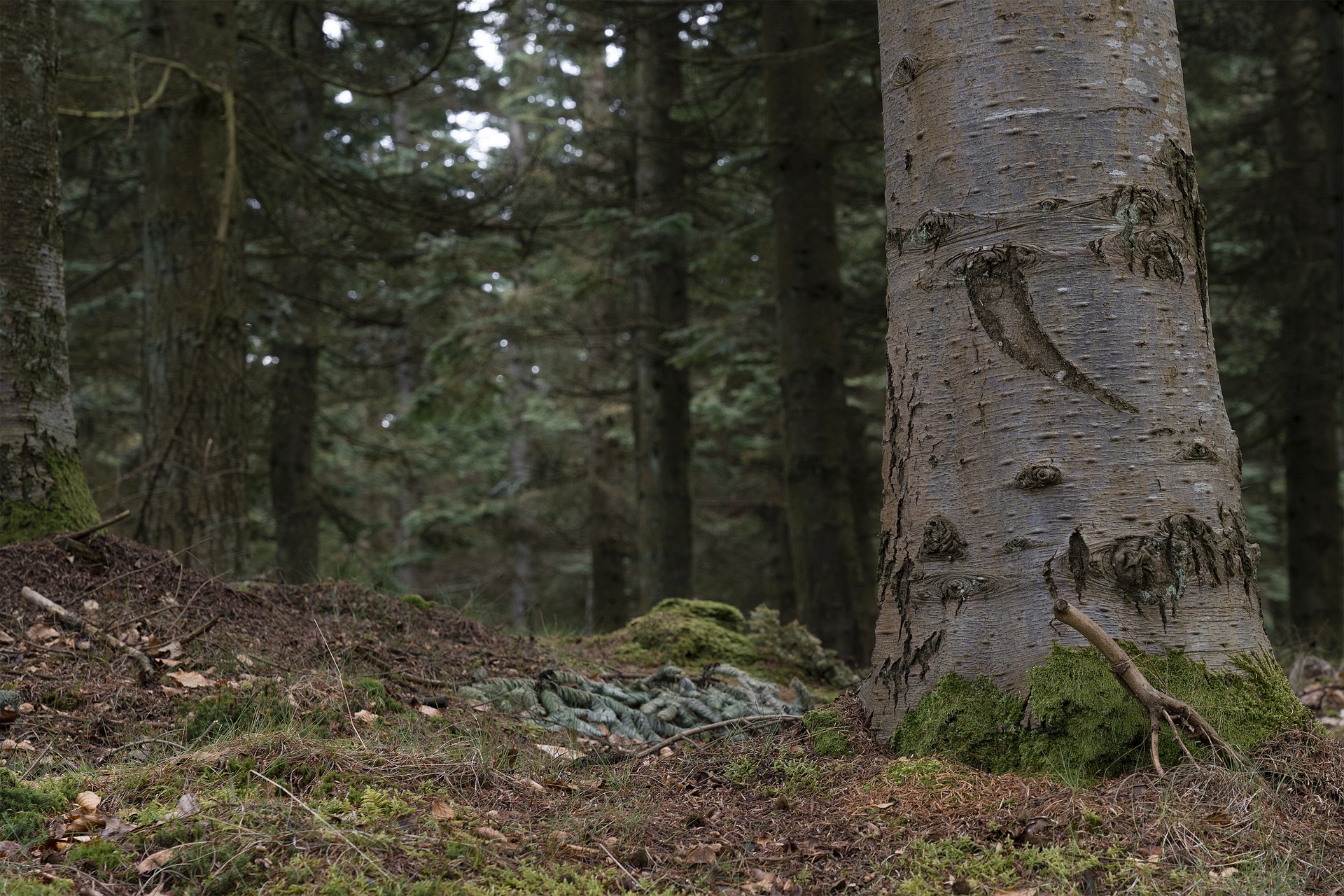  大自然的美丽不是一句话就能概括的！
