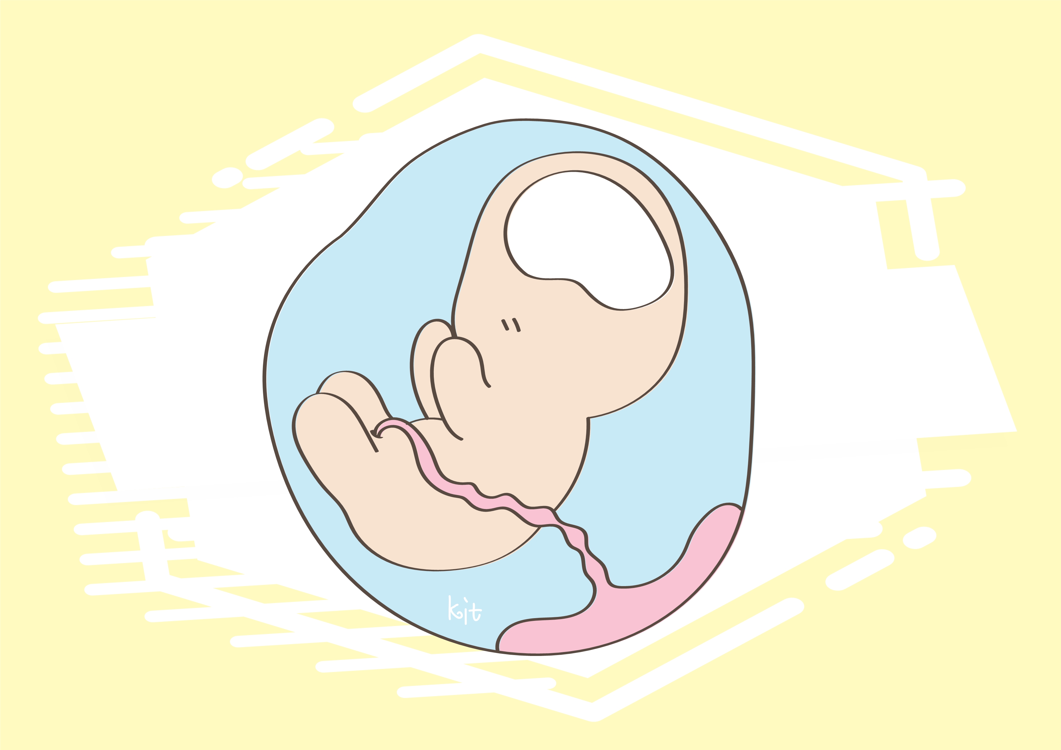 杏妈育儿|家长和胎儿互动，有利于宝宝的发育，但是要注意这些细节