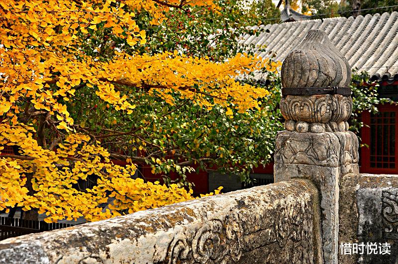 白居易|消除烦恼,这件事没人可以帮得了你,只有你自己