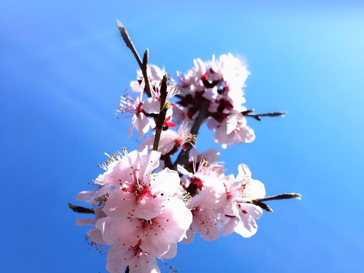 星座师安达|在爱情中,能让摩羯座放下身段的,是什么样的人?