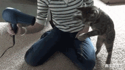 鑫宝聊育儿|“班主任怀孕时被绿，学生吃瓜吃到撑”内容太精彩了，哈哈哈