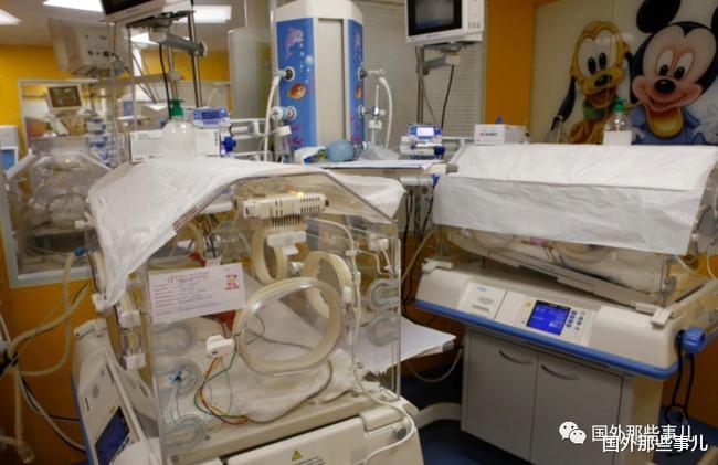 26岁女子一次生下5女4男9胞胎,每天喝掉6升奶,用掉100片尿布