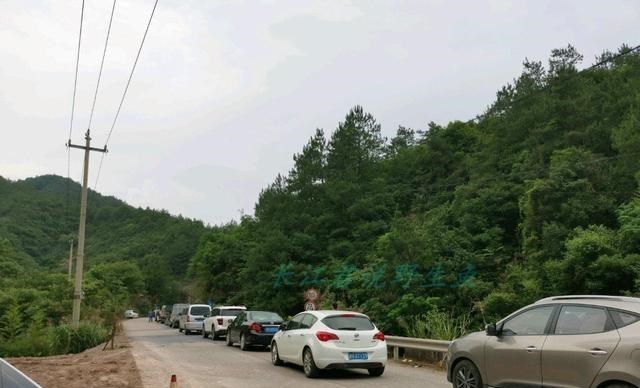 长江|离奇！男子想去山上鱼庄吃鱼，被堵后却在路边钓起鱼庄“头牌”