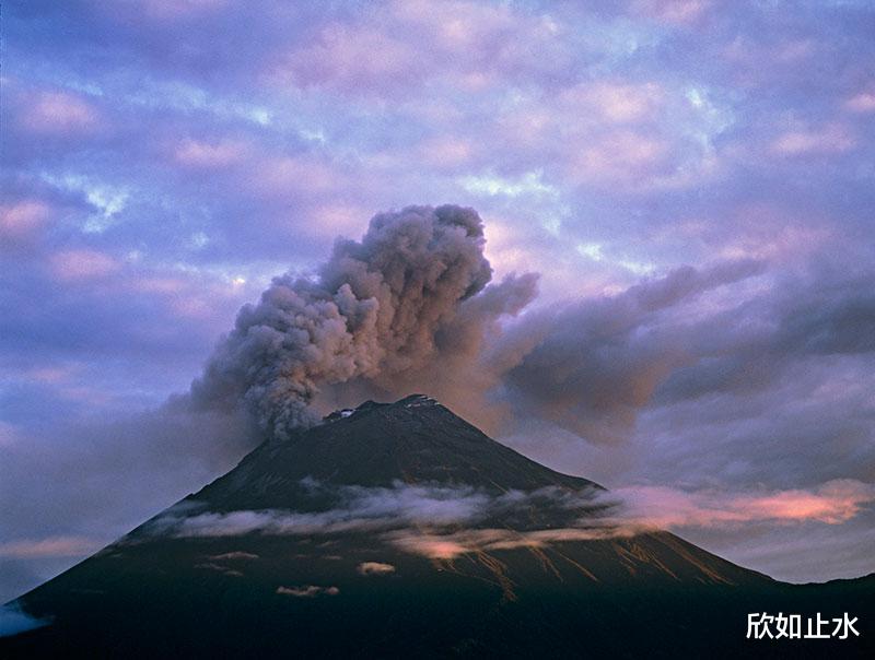 巴厘岛 刚被救回来，中国游客再踏险地，国家：这次费用自己承担