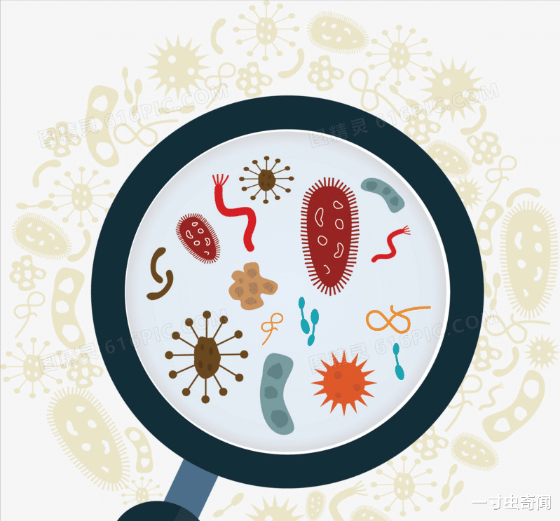 细菌与家的关系:洁癖的人越清洁细菌越多?室内哪些物体遍布细菌