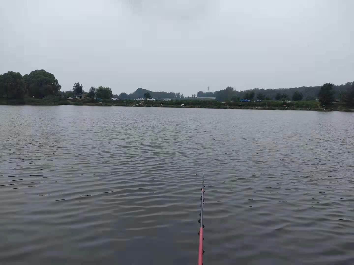 |夏天气温高，鱼不开口怎么办？那么这个小药能帮你解决