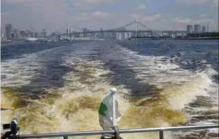 大橙子爆料|东京湾铁人三项多个选手狂吐，日本网友：水这么脏，我游我也吐