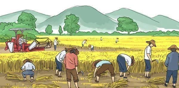 农村奇闻 八月初一到,晴天好还是下雨好?看农谚俗语怎么预兆?