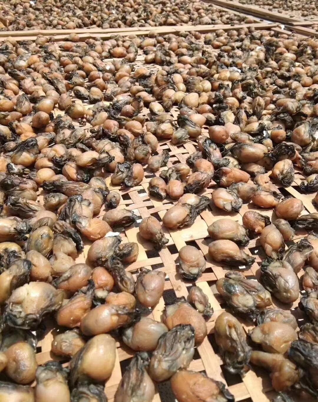 入九后,有条件多吃“冬补4宝”,应季而食,补足营养好过冬