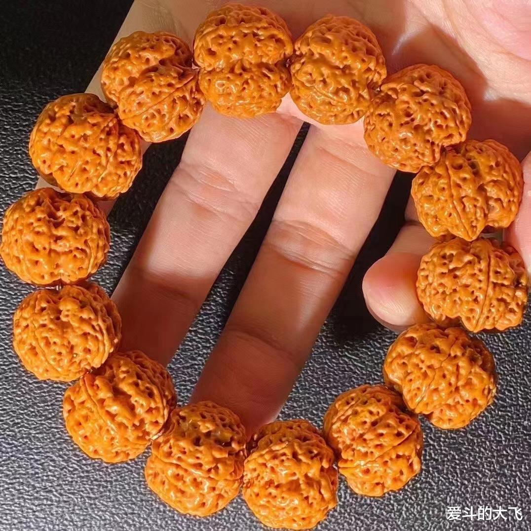 老玩家|文玩大金刚五星蜂王，真的有那么贵吗？这条如何，老玩家请进