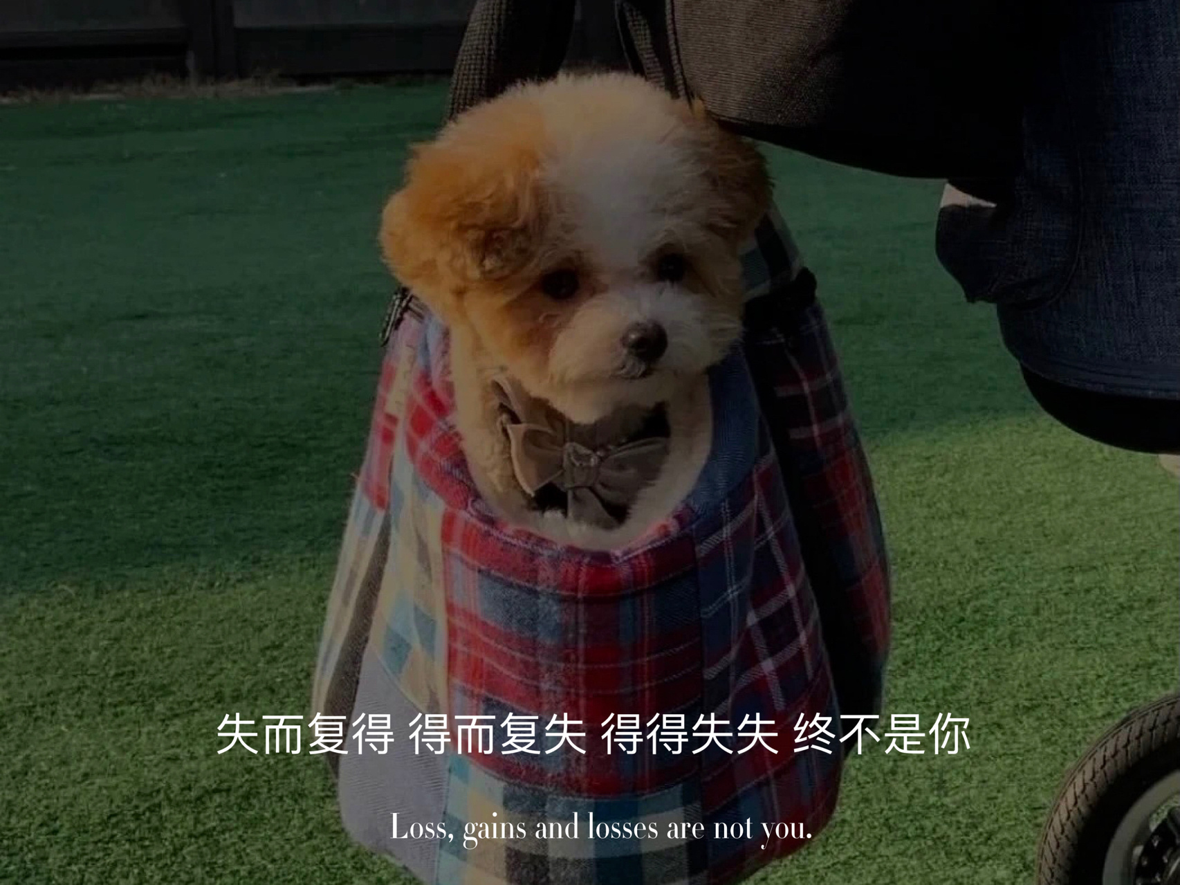 墨陌文案馆|文案| 你看电影结束都有序幕  我们就没有