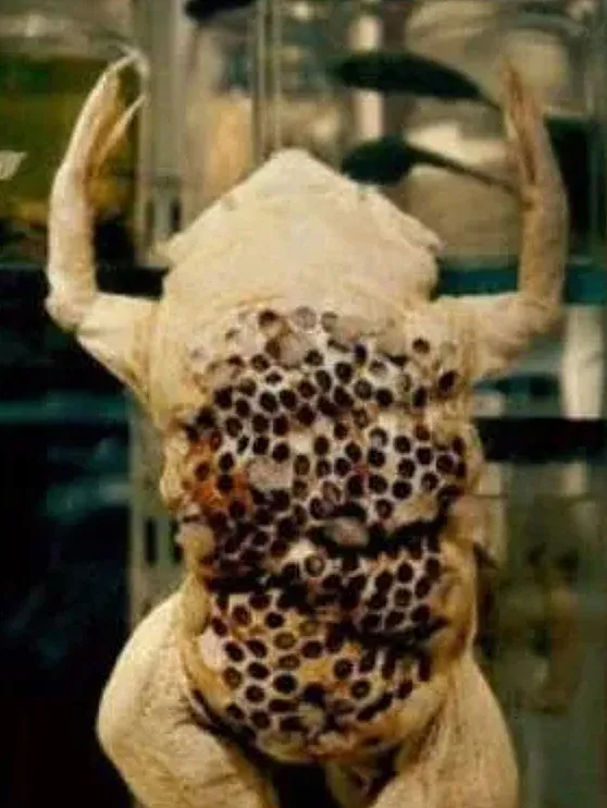 35p一般不常见的“野图”