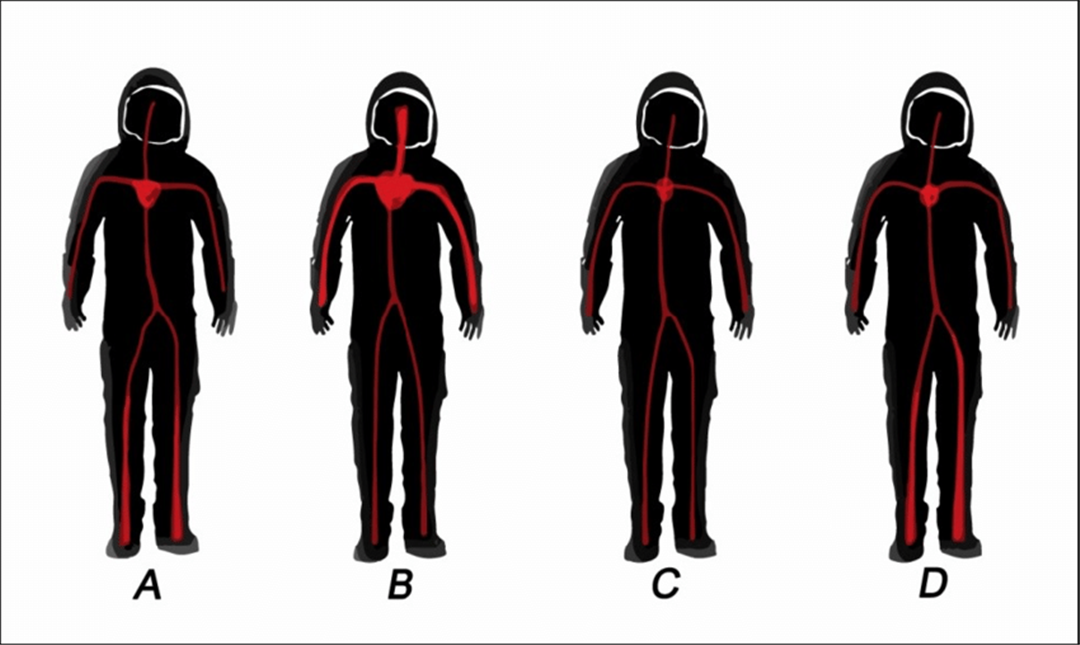 航天员 女航天员只能吃避孕药？神13号即将发射，6个月生理期怎么解决？
