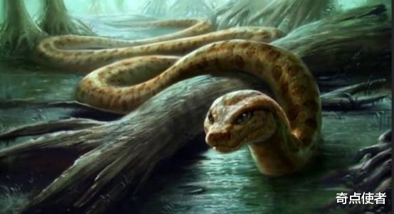 巨蟒 寿命可达20万年？云南发现一条5米长巨蟒，蛇龄30年还很年轻？