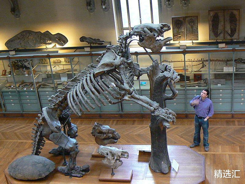 被怀疑依然存活于世界的5大史前动物，大地懒身高可达4米!
