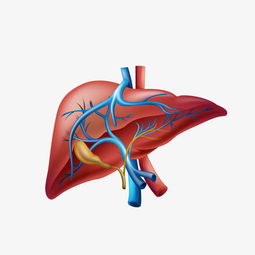 红糖|霍老先生的调肝方