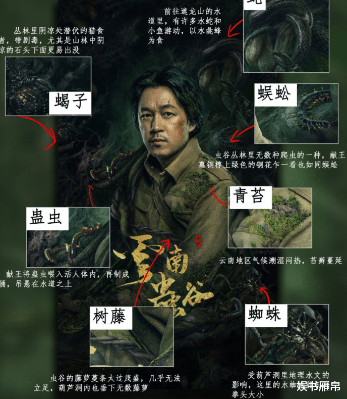 长津湖|《云南虫谷》官宣定档，主角海报信息量大，让人开心不起来