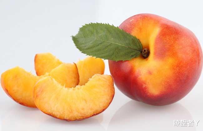 瞭望者Y 入园免费！品尝免费! 南充嘉陵这个地头油桃熟了！熟了！