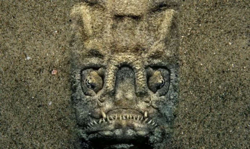 踩小视 这些疯子把自己关在140米深海，还过了28天