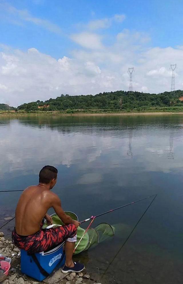 草鱼|为什么按照大师教的做了还是钓不到鱼?原因有三点