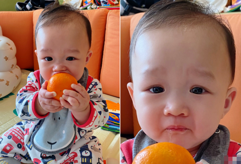 胡杏儿|胡杏儿一家五口近照曝光！小儿子肉脸嘟嘟显可爱，老公太帅似明星