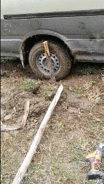 酵素|喵星人,叫你减肥,你不信!看把台子坐塌了吧