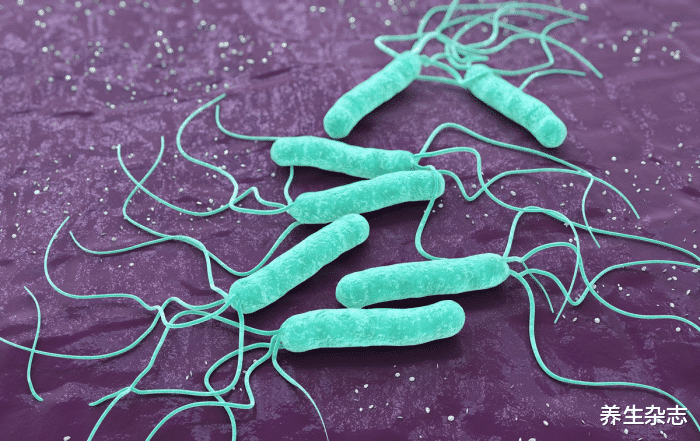 幽门螺杆菌|23岁女子幽门螺杆菌645，医生叮嘱：这4种食物就算爱吃也要戒掉