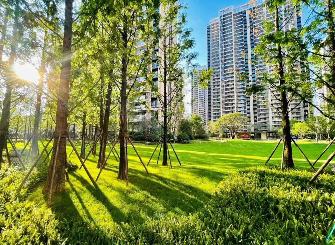 毛坯VS精装房,毛坯精装修的利弊