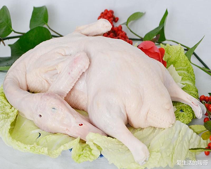 爱生活的陶哥|出伏后，饮食讲究吃3样，饮2水，忌1事，开启秋季健康养生模式