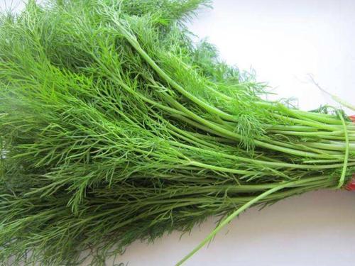 医生|肺结节不能吃虾？医生建议：想养肺，4种食物尽量少吃